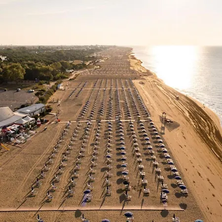 Bright Flat Next To The In