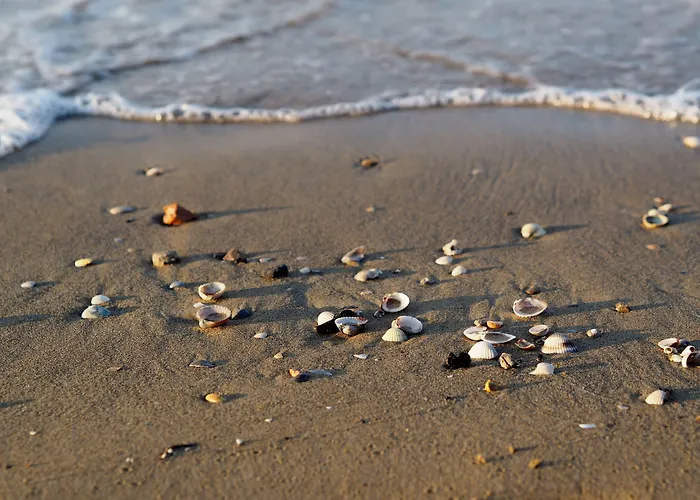 Apartment Bright Flat Next To The In